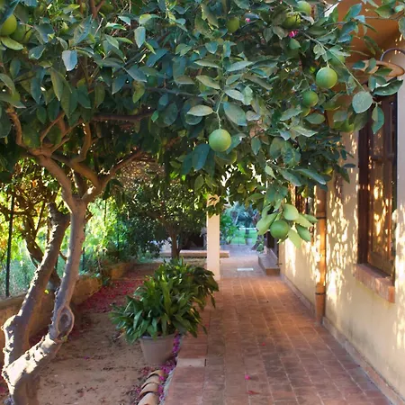 Belvedere Cottage Villa Trappeto (Sicily)