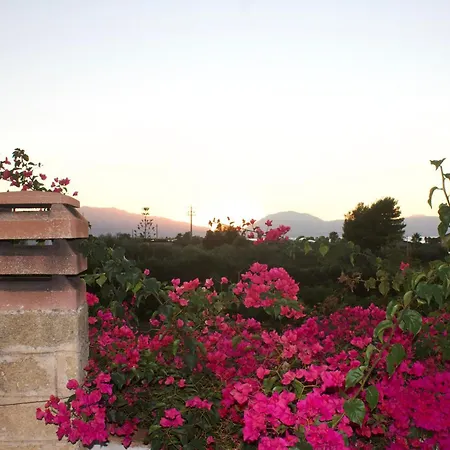 Belvedere Cottage Trappeto (Sicily)