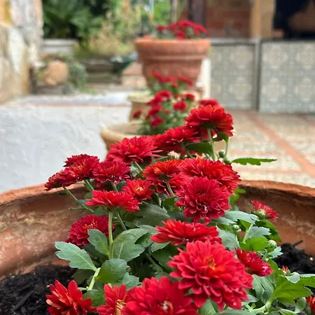 Belvedere Cottage Trappeto (Sicily)