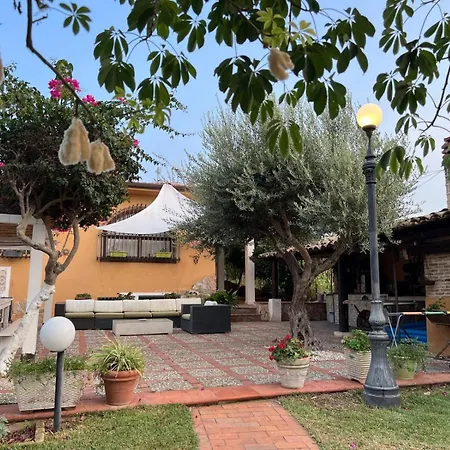 Belvedere Cottage
